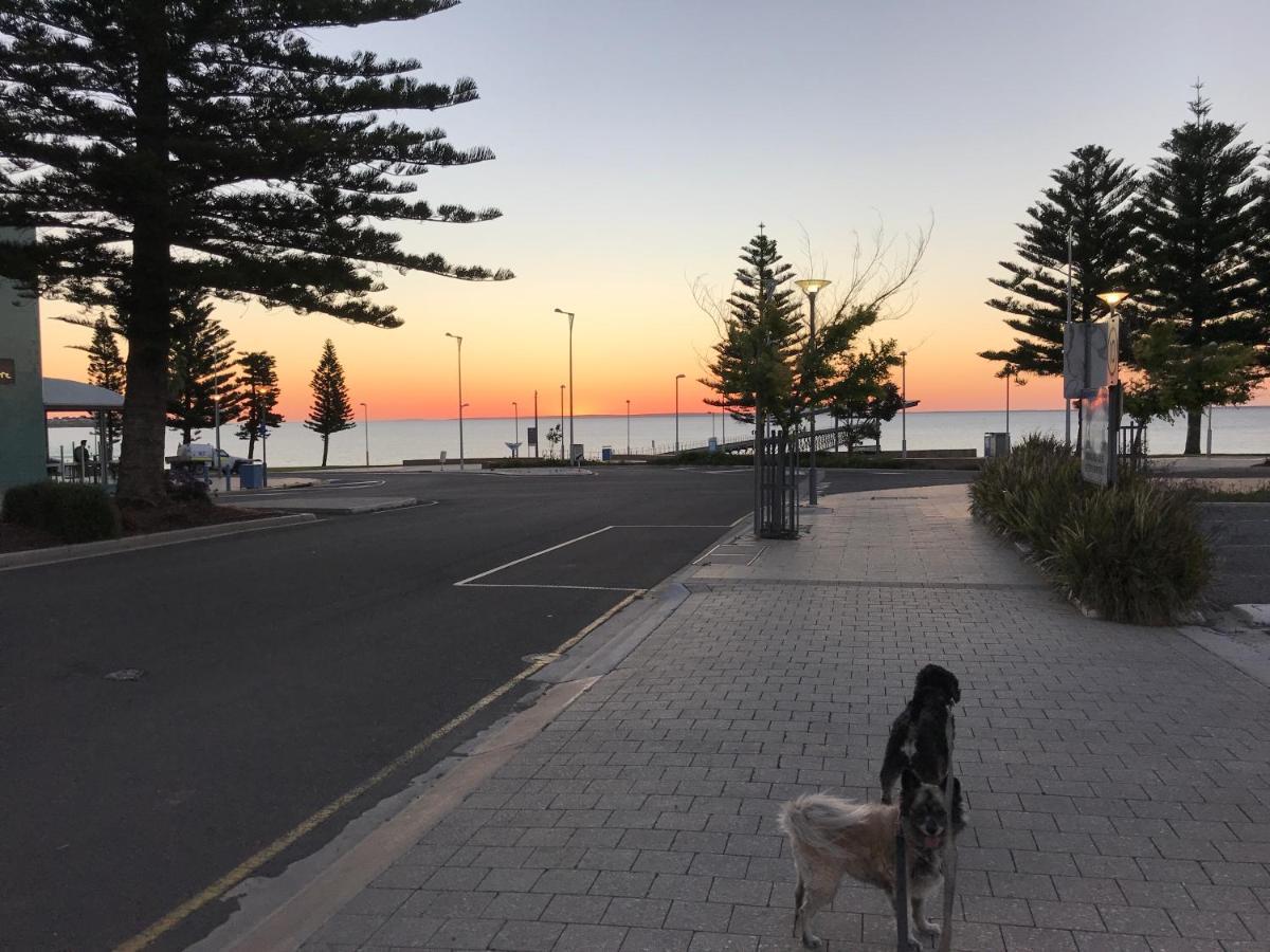 Big4 Ceduna Tourist Park المظهر الخارجي الصورة